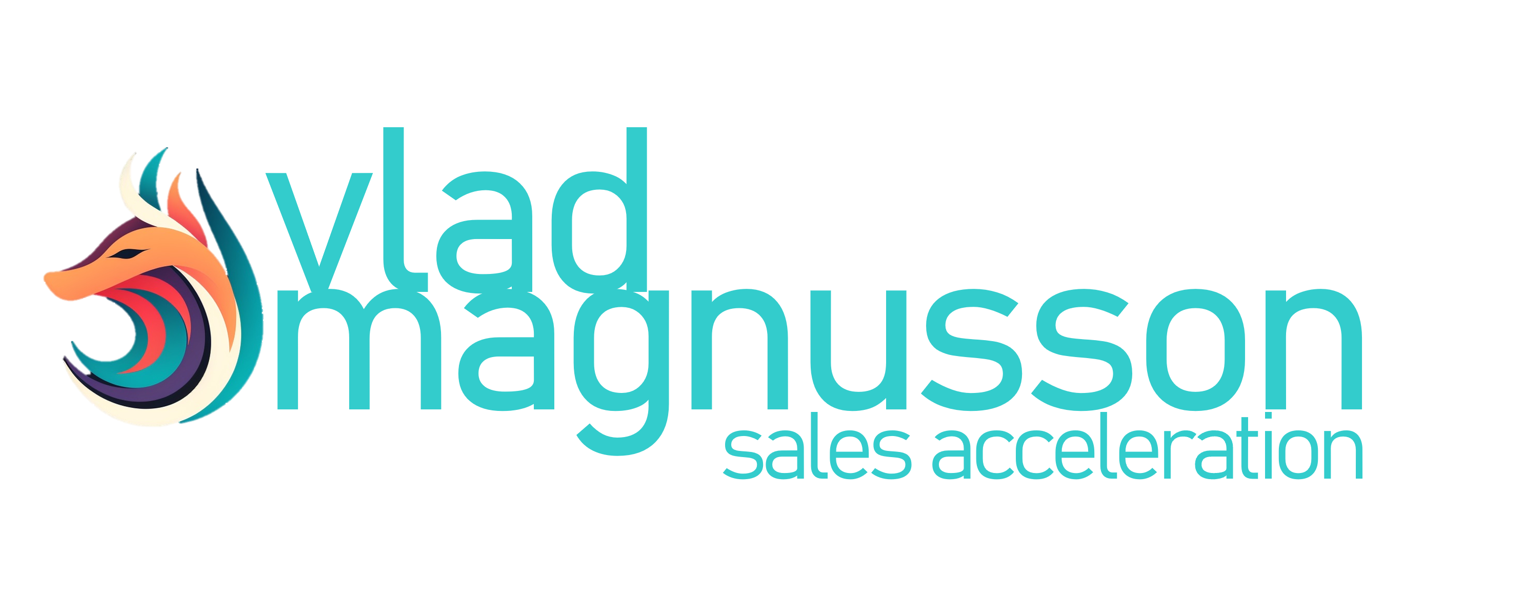 Vlad Magnusson Sales Acceleration